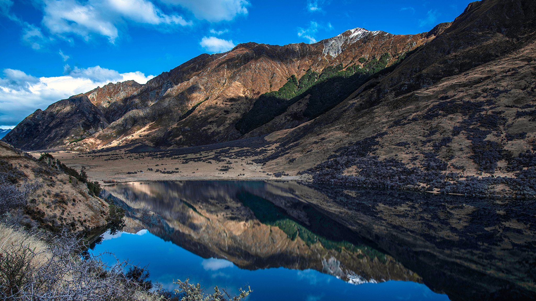 Marlborough Region New Zealand озеро Чалиса