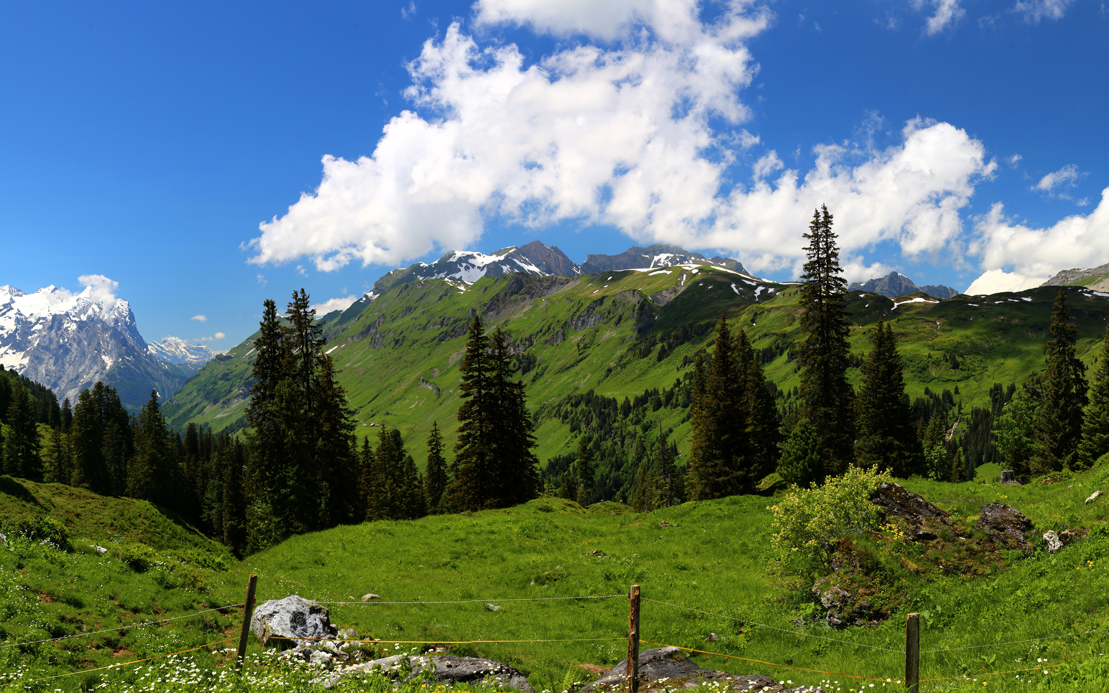 природа горы трава облака небо Швейцария бесплатно