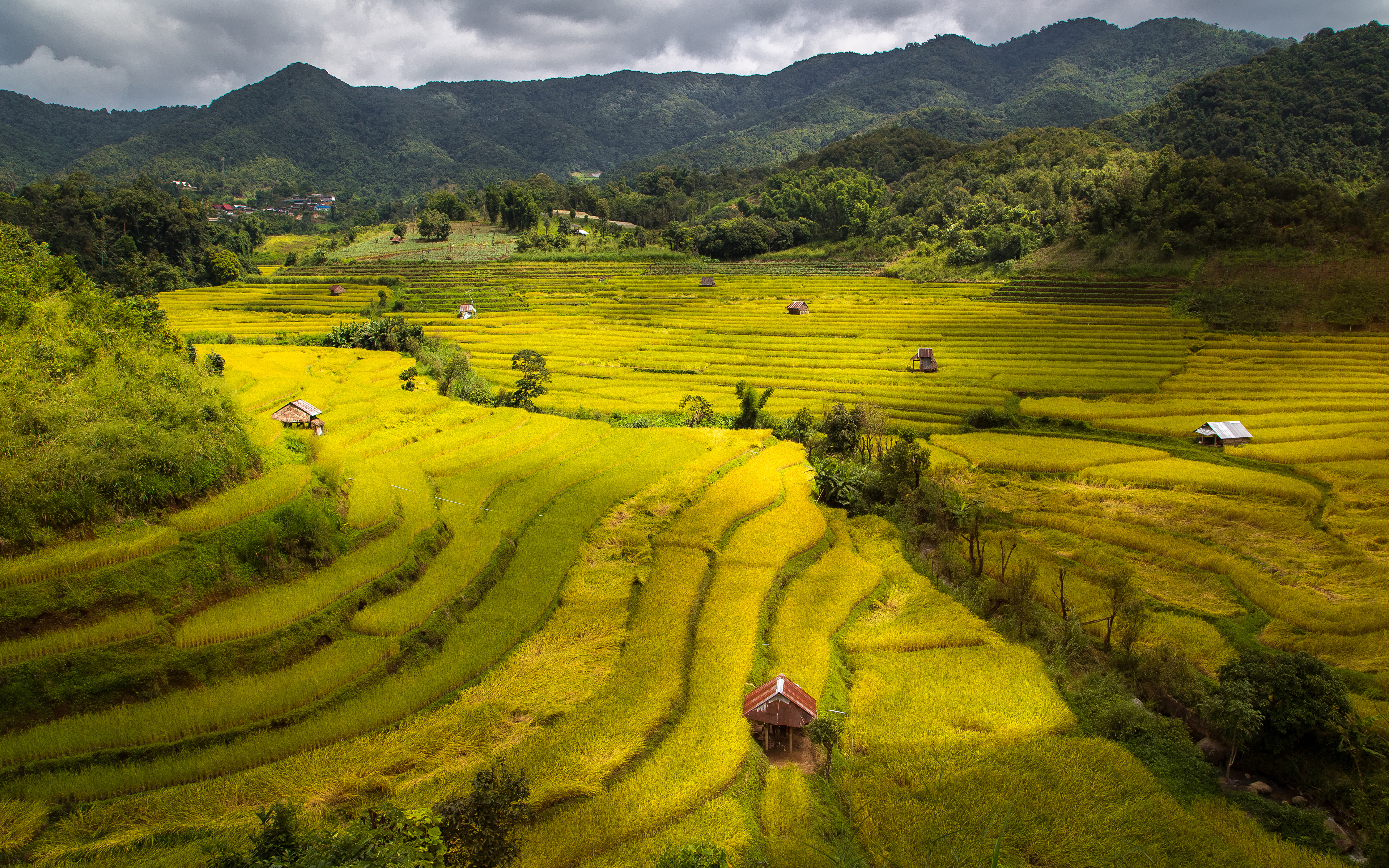 Картинка Вьетнам Природа Поля Холмы 3840x2400 холм холмов