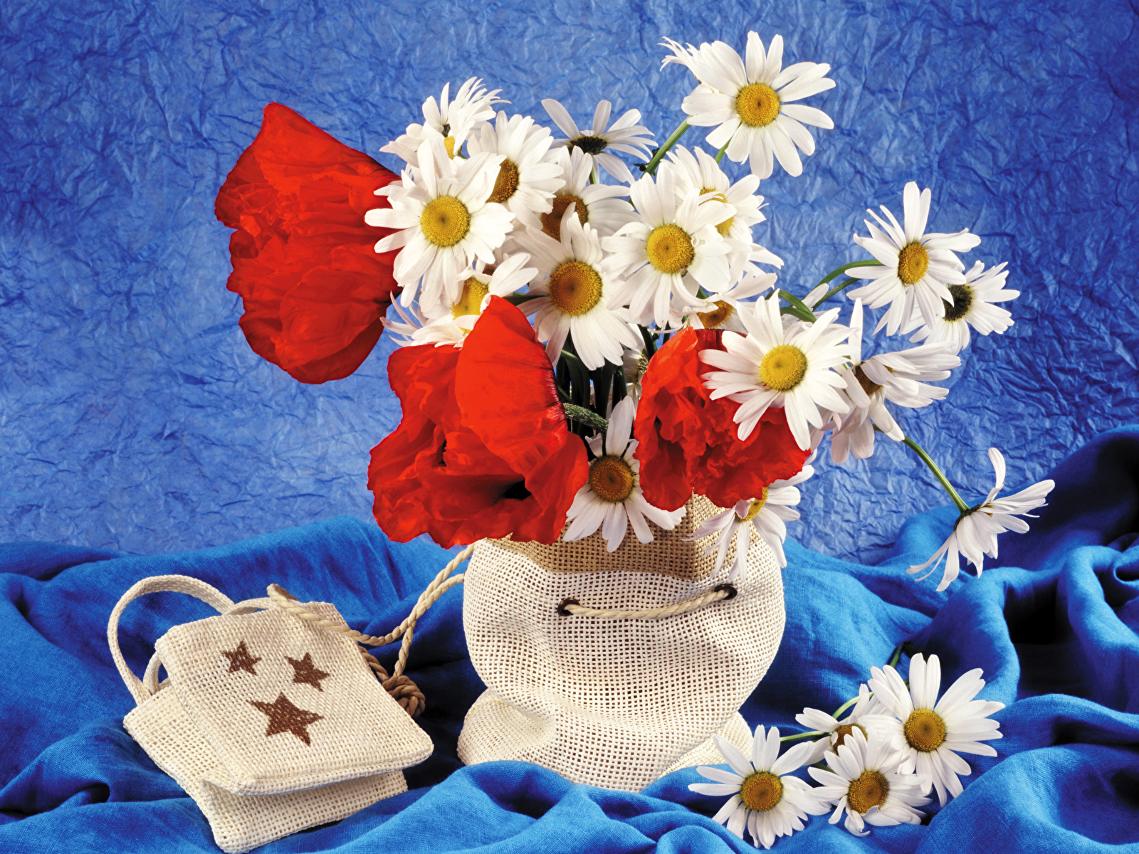 Фотография Маки Цветы Ромашки Ваза 1600x1200 мак цветок ромашка вазе вазы