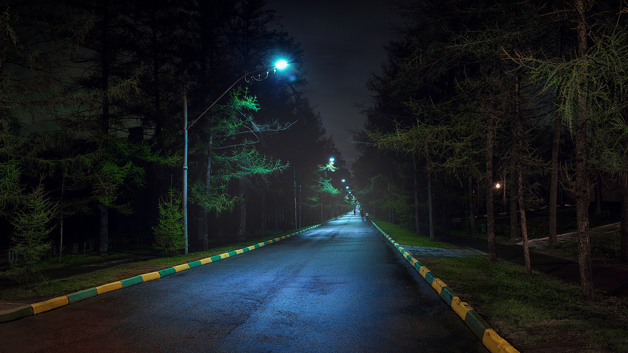 Ночная дорога