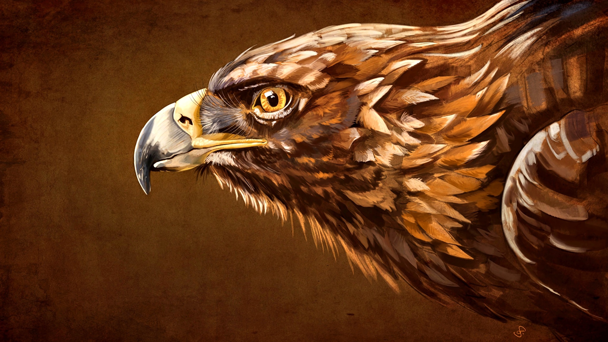 Орлы Рисованные Голова Клюв Животные фото 2048x1152 животное, орел, головы ...