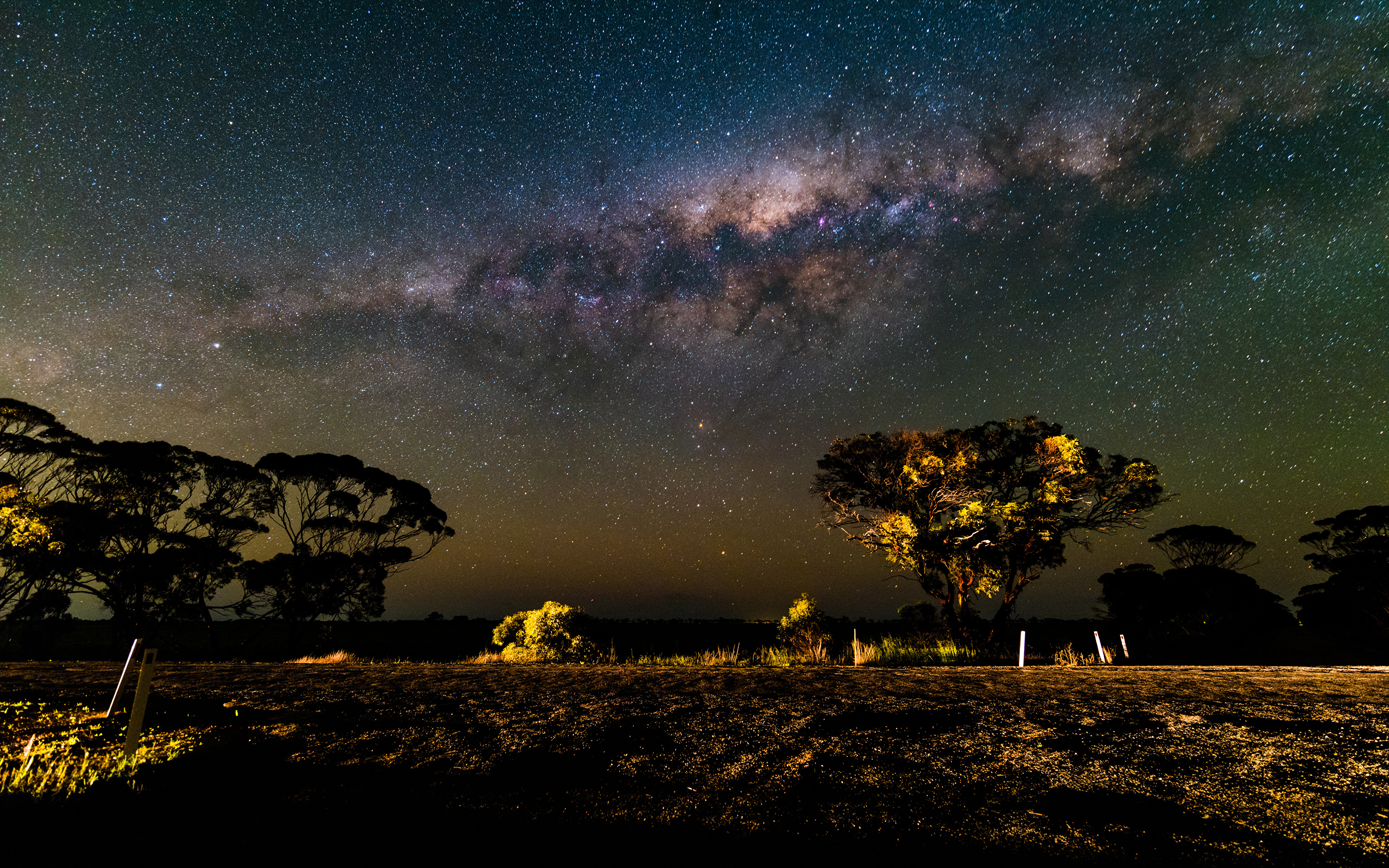 Фотографии Звезды Природа Небо Ночь деревьев 3840x2400 ночью в ночи Ночные дерево дерева Деревья