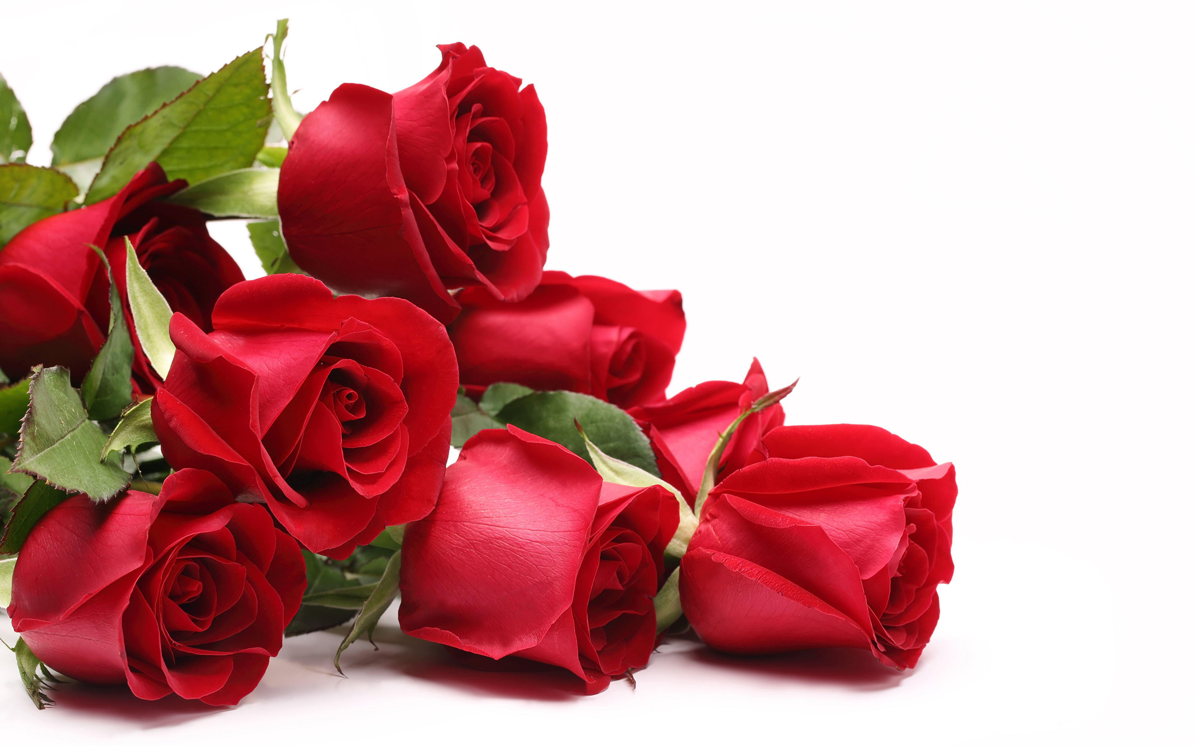 Пожелания от души любимой. Открытки с розами. С днем рождения розы. Цветы поздравления. Красные розы открытка.