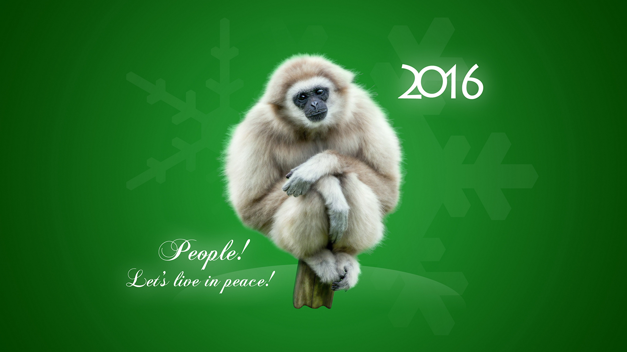 Новый год 2016 звери