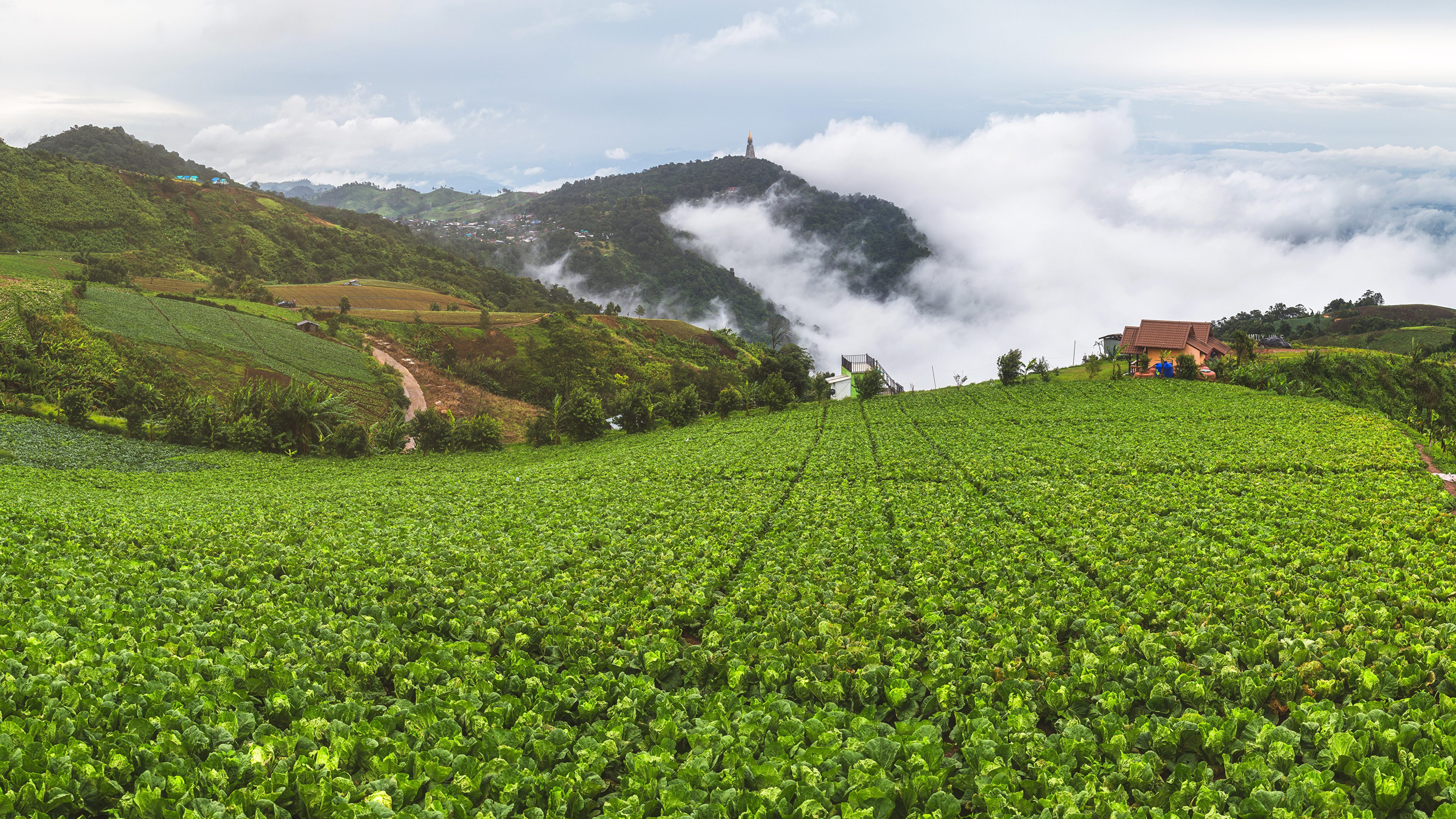 Фото Вьетнам Mu Cang Chai Природа Поля холмов Пар Дома 3840x2160