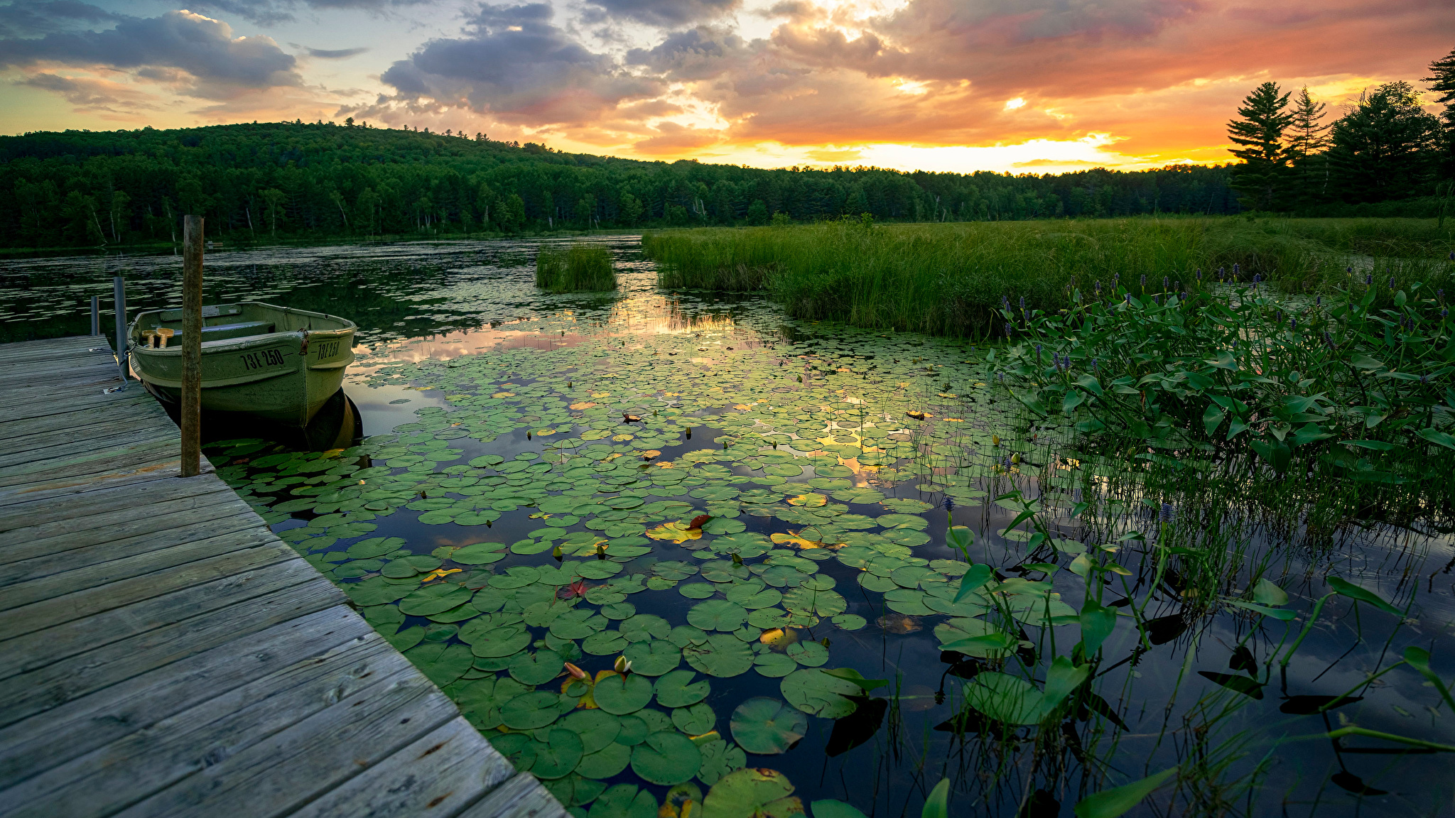 Pier on the Lake