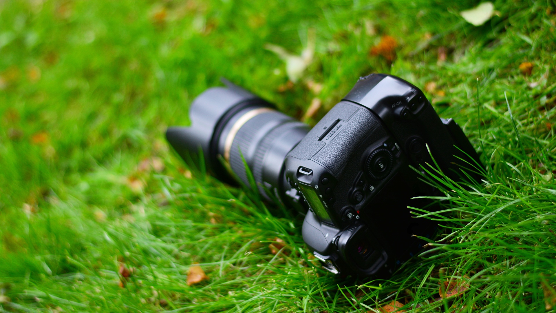 Фотография фотокамера боке траве вблизи 1920x1080 Фотоаппарат Размытый фон Трава Крупным планом