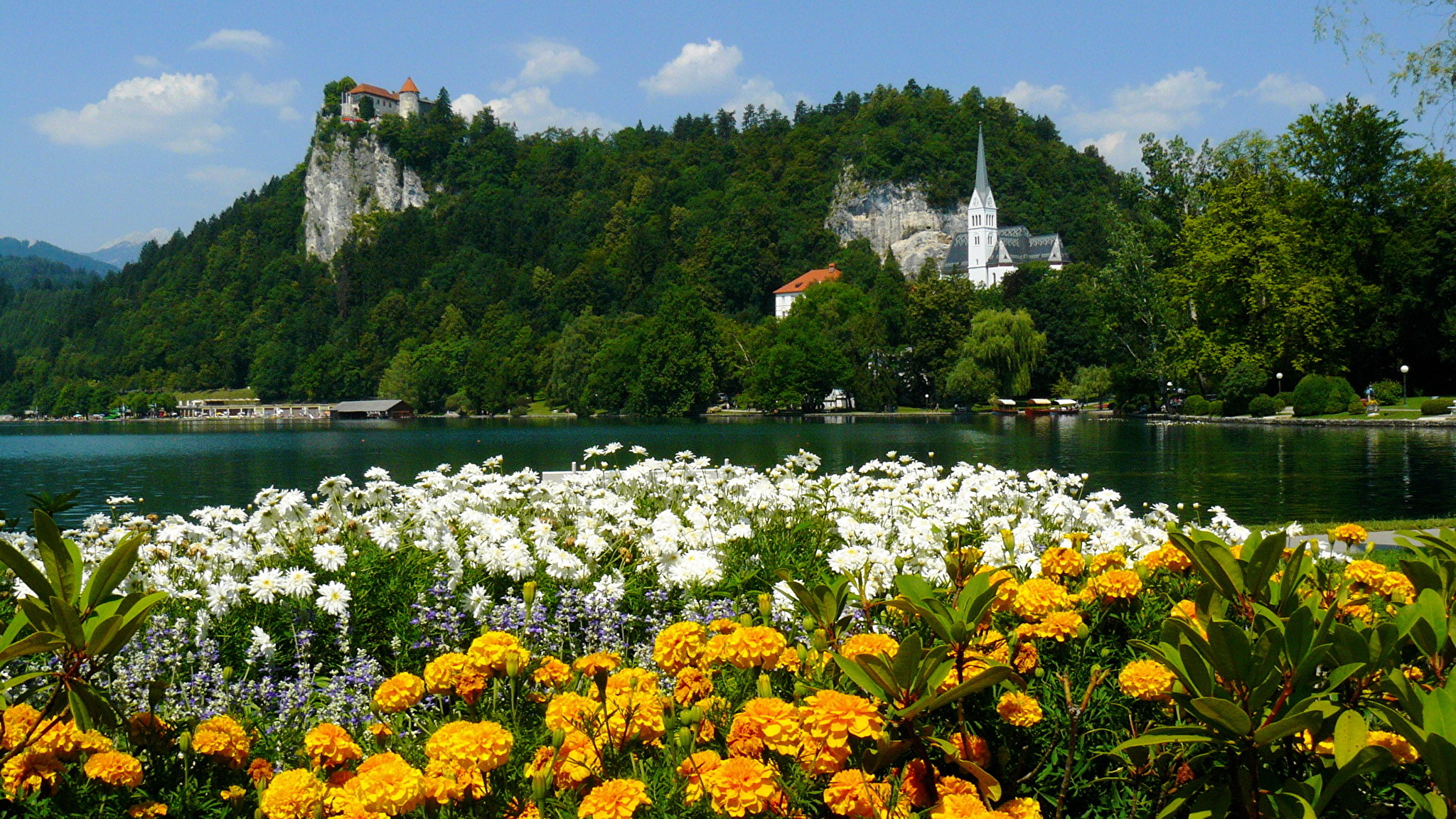 Фото сайт европа. Озеро Bled Словения. Словения Альпы. Озеро Блед летом.