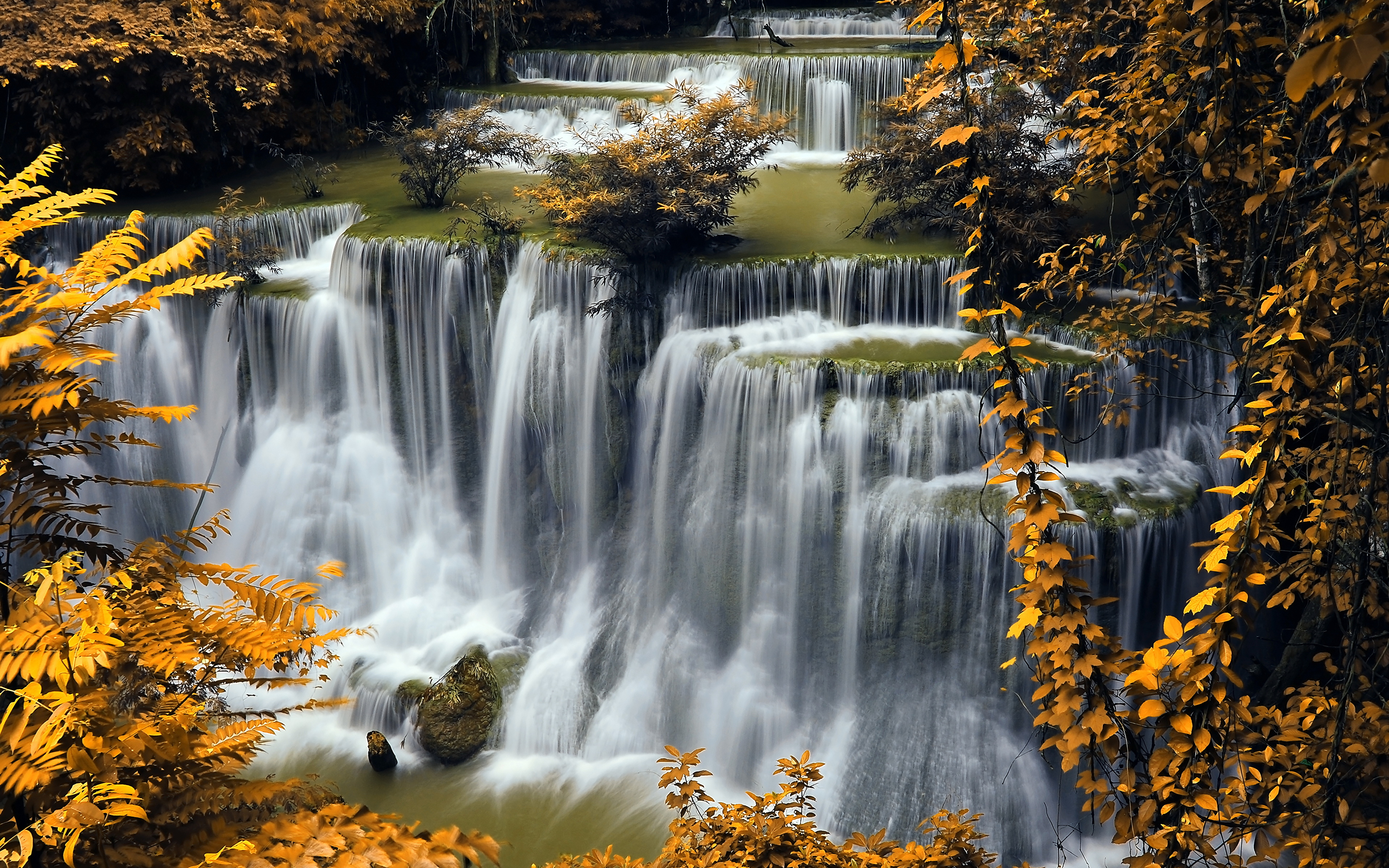 природа водопад осень листья деревья без смс