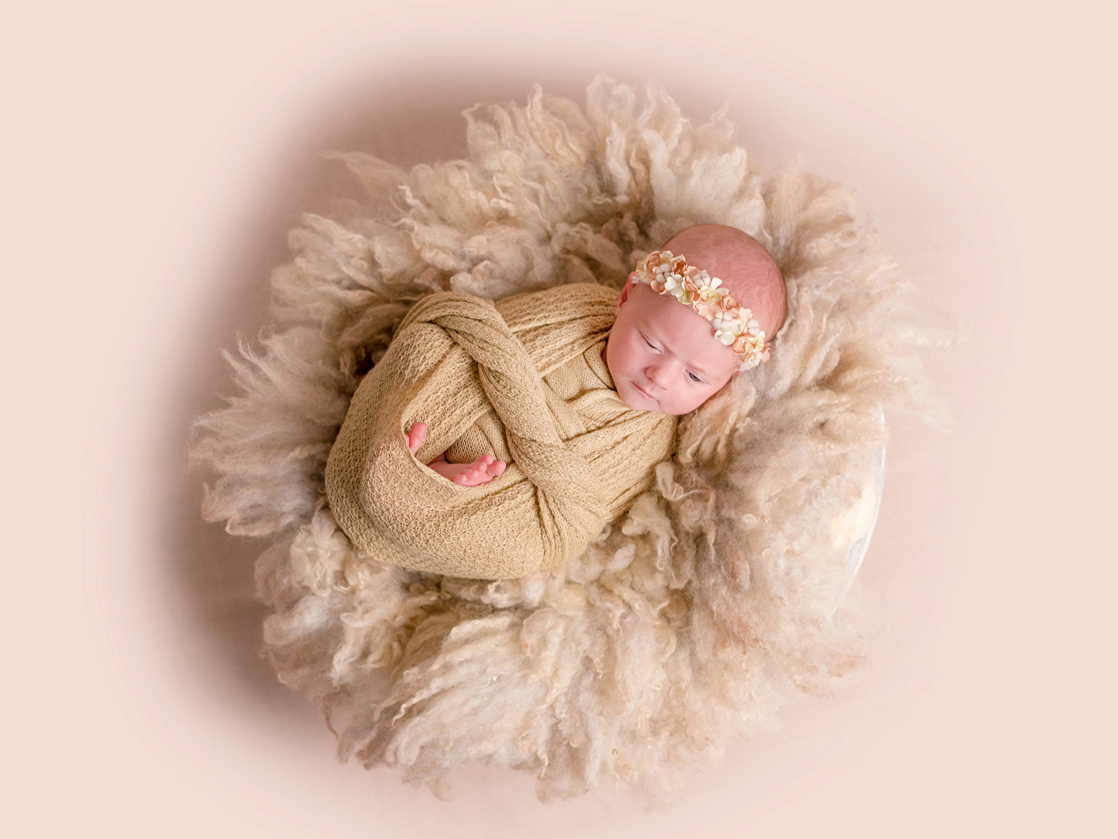 Фото грудной ребёнок Дети Цветной фон 1600x1200 Младенцы младенец младенца ребёнок