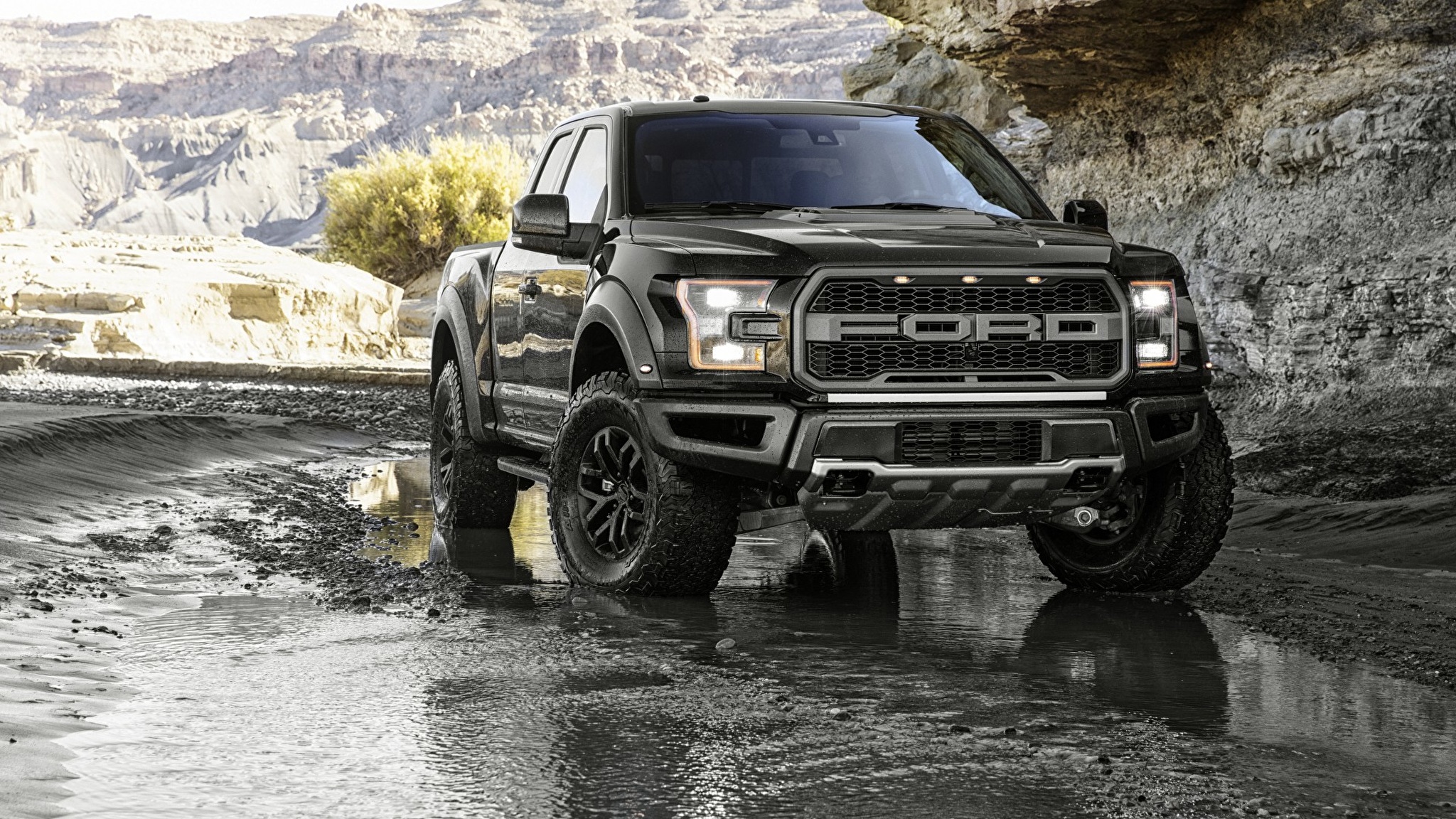 Ford raptor фото