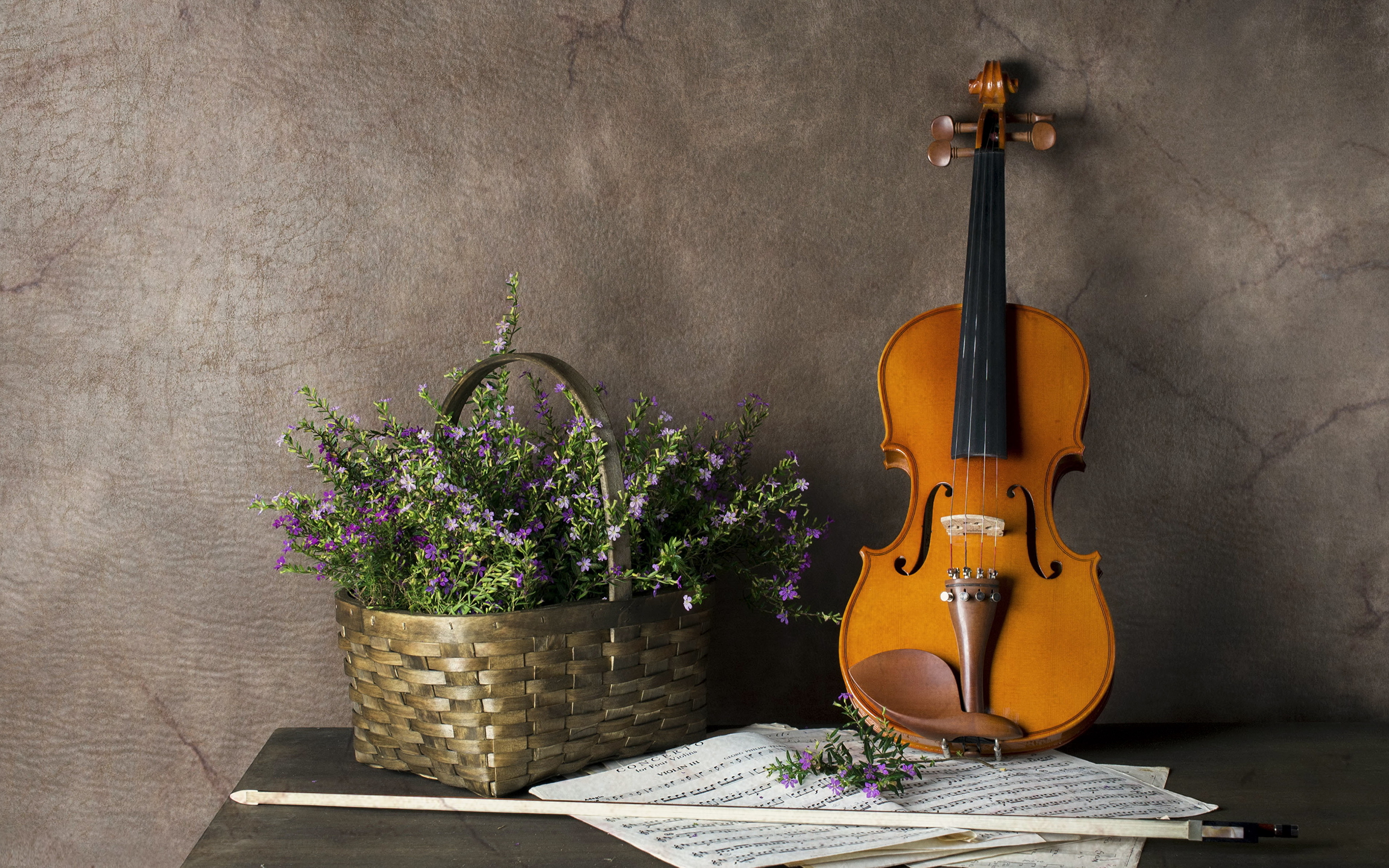 Violin скрипка. Скрипка. Скрипка обои. Красивая скрипка. Красивые музыкальные инструменты.