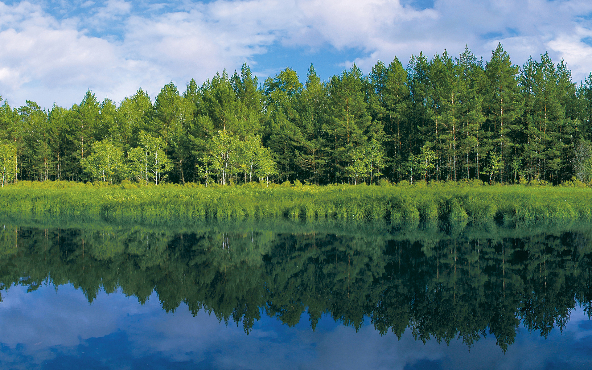 природа река Швеция страны без смс