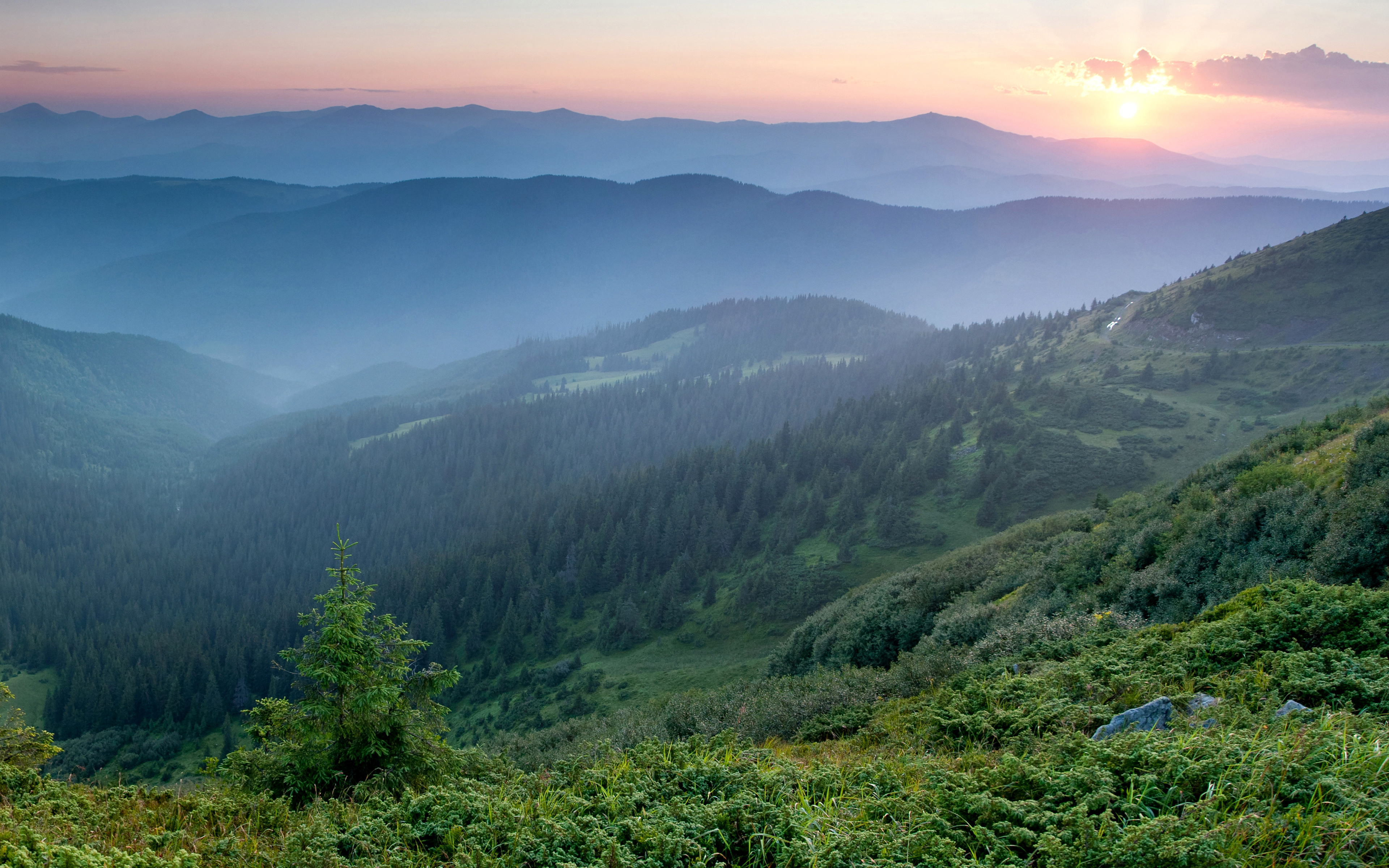 Горы Карпаты панорама