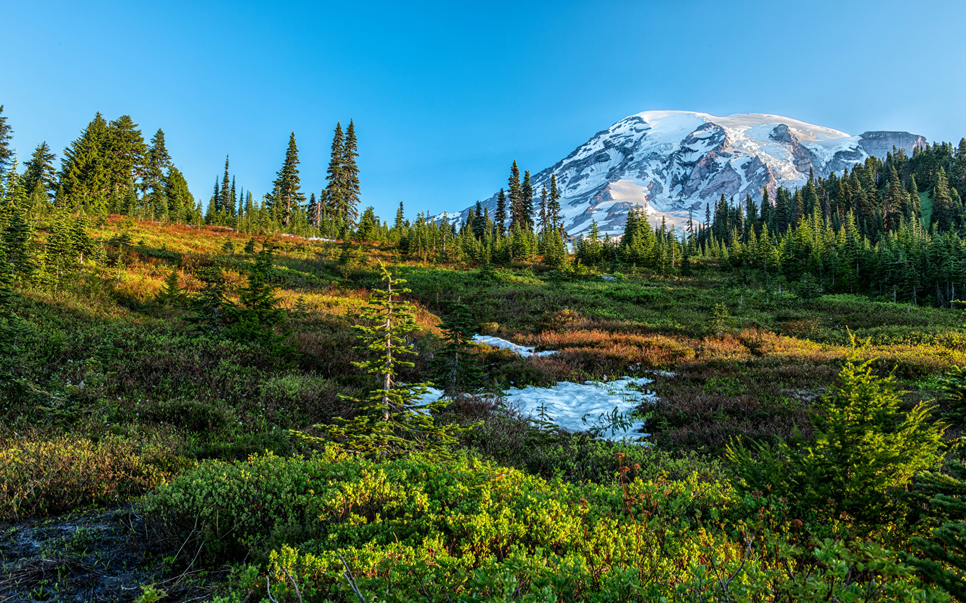 Natural Beauty, Mount Rainier National Park, Washington скачать