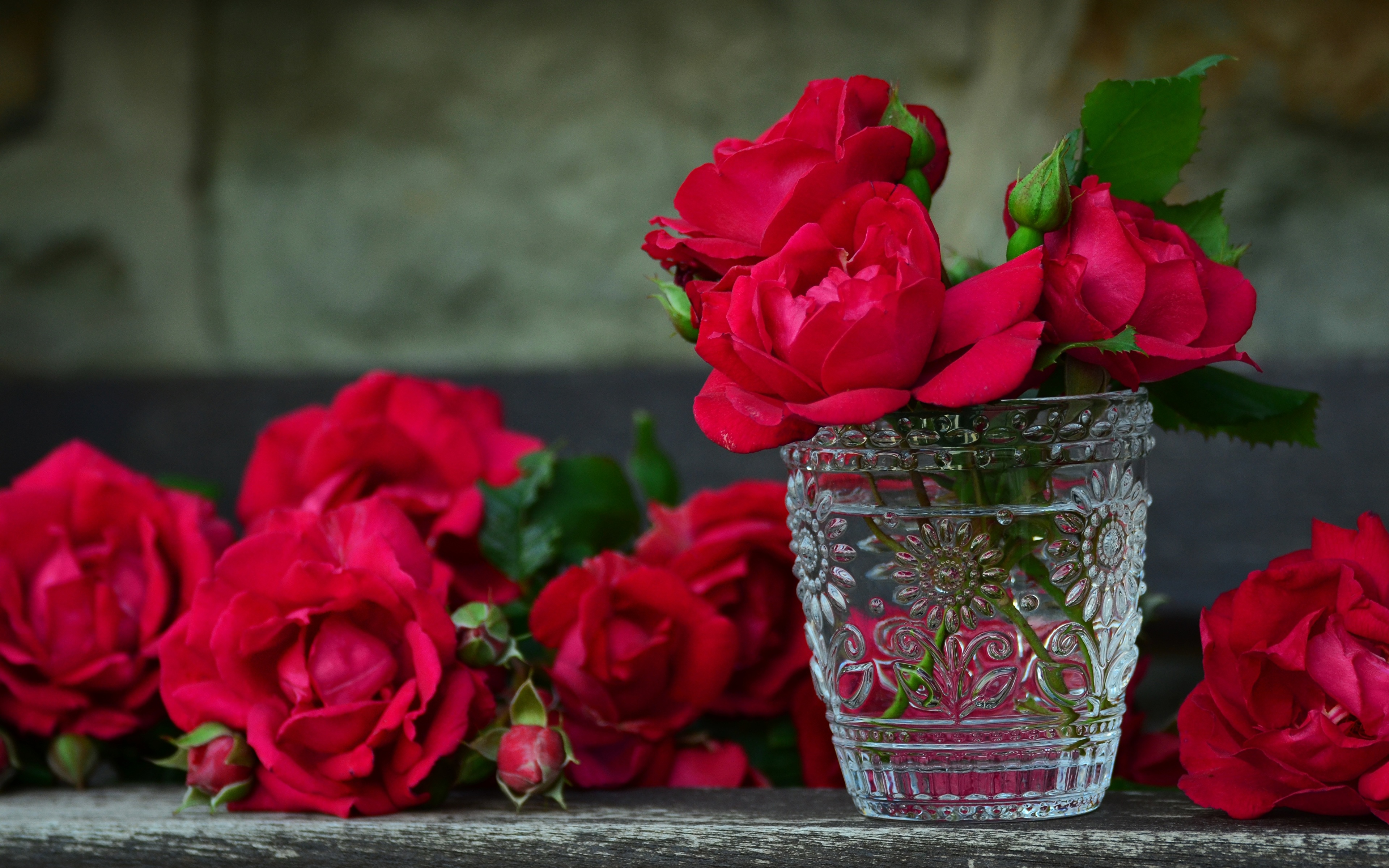 розы цветы стакан без смс