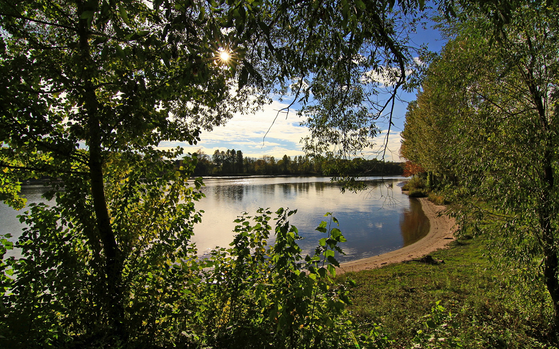 Река и лес Ярославль