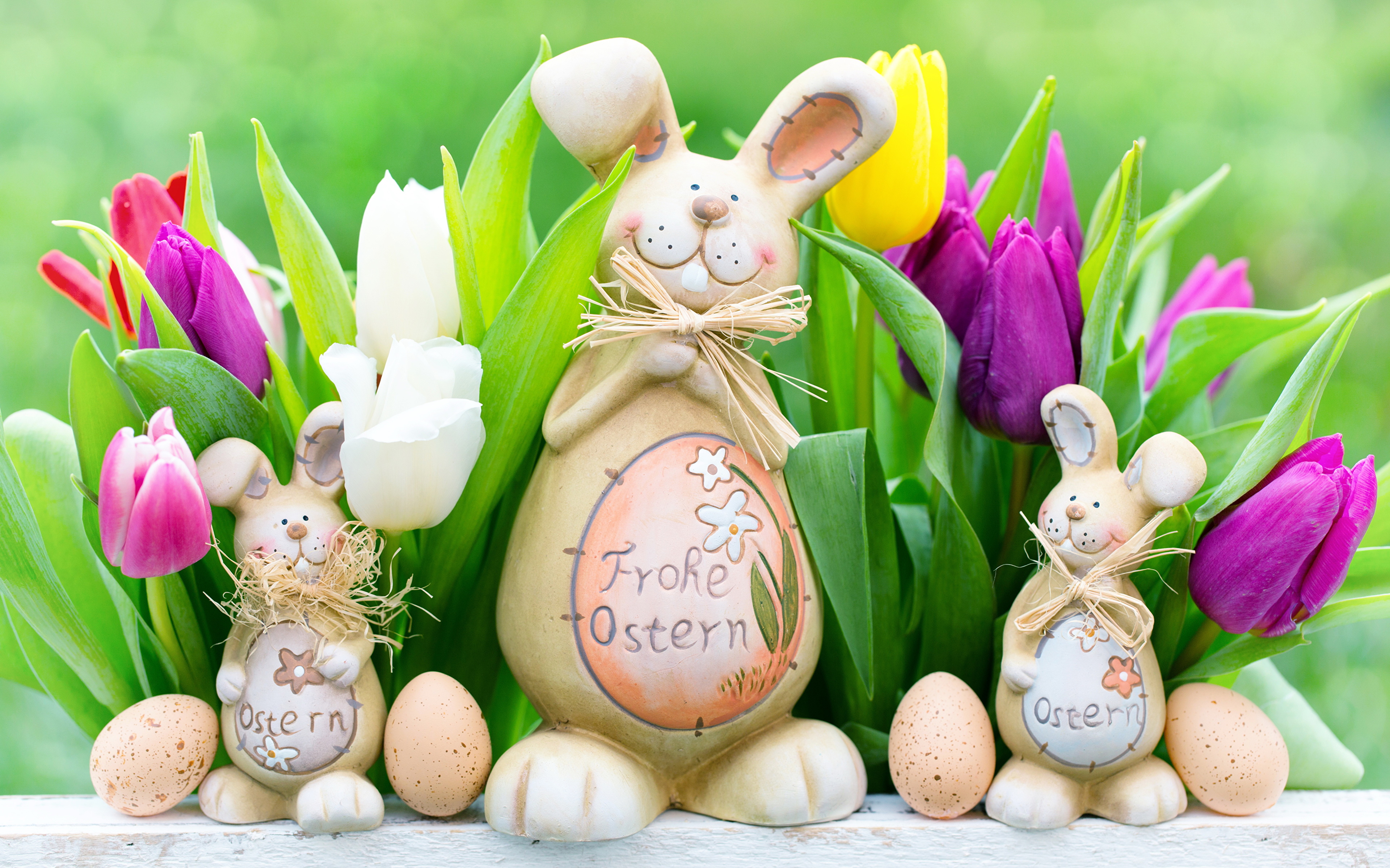 природа кролик цветы тюльпаны яйца пасха без смс