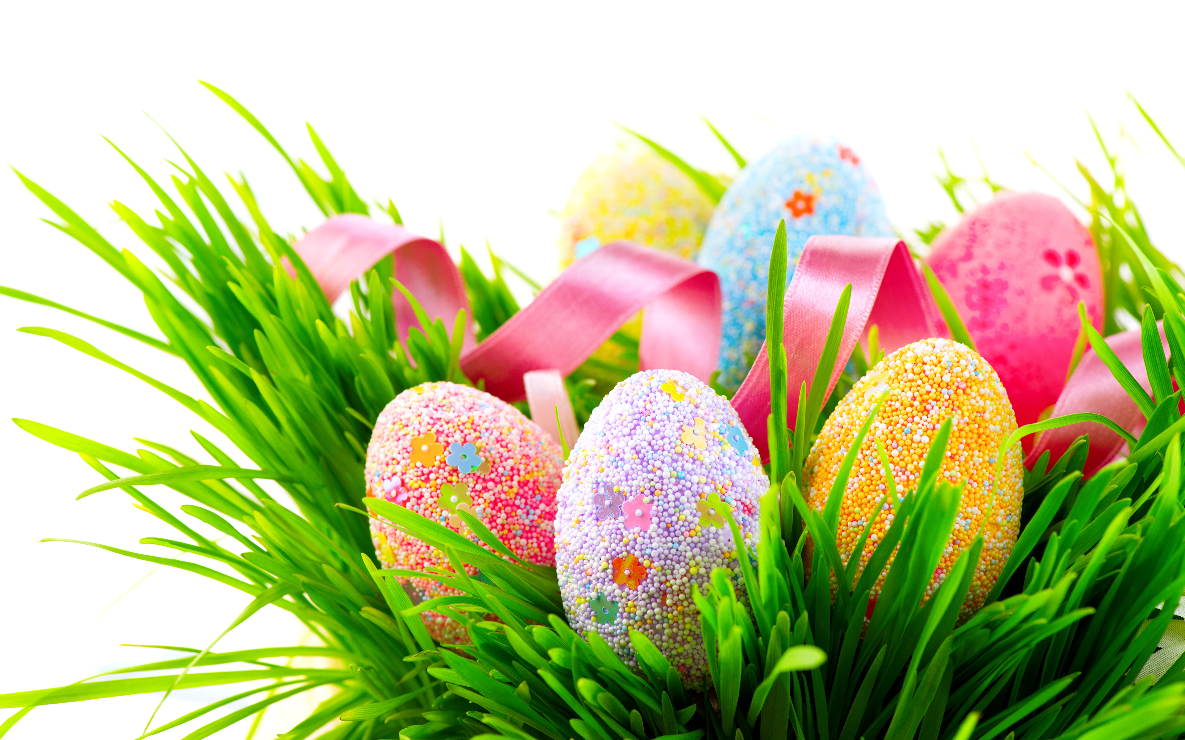 праздники яйца пасха трава природа holidays eggs Easter grass nature без смс