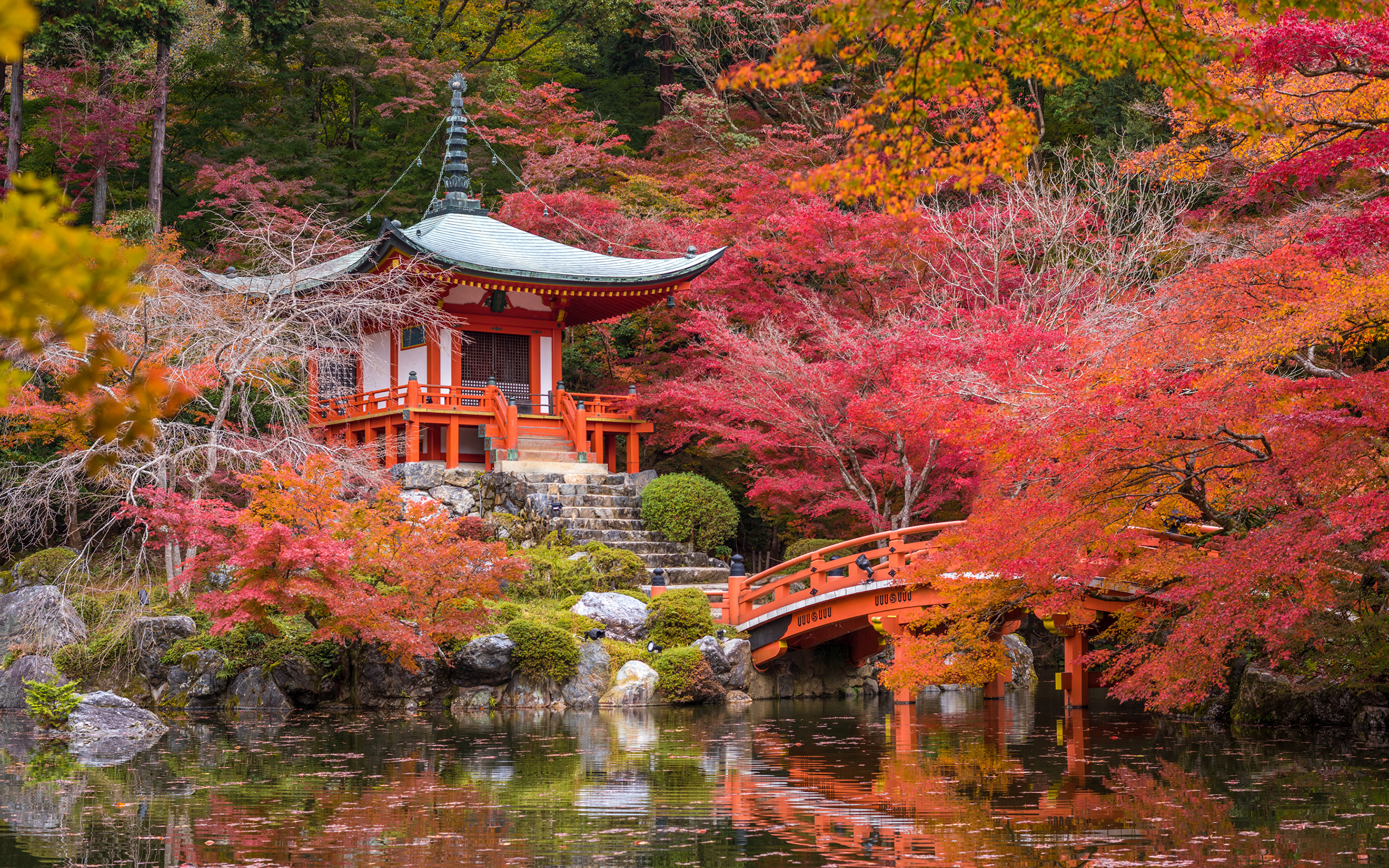 Kinkaku-ji Temple, Kyoto, Japan загрузить