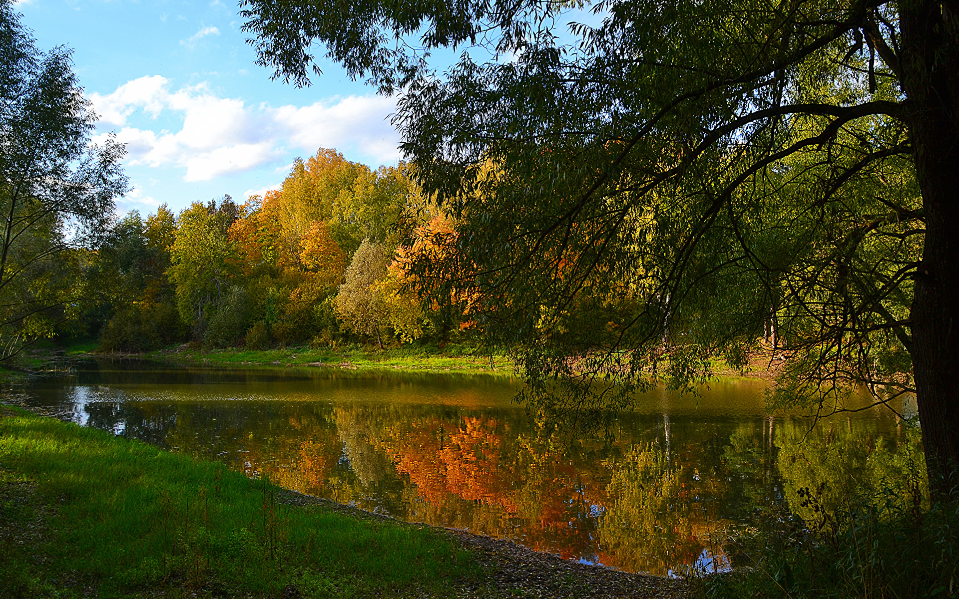 москва природа осень ранняя