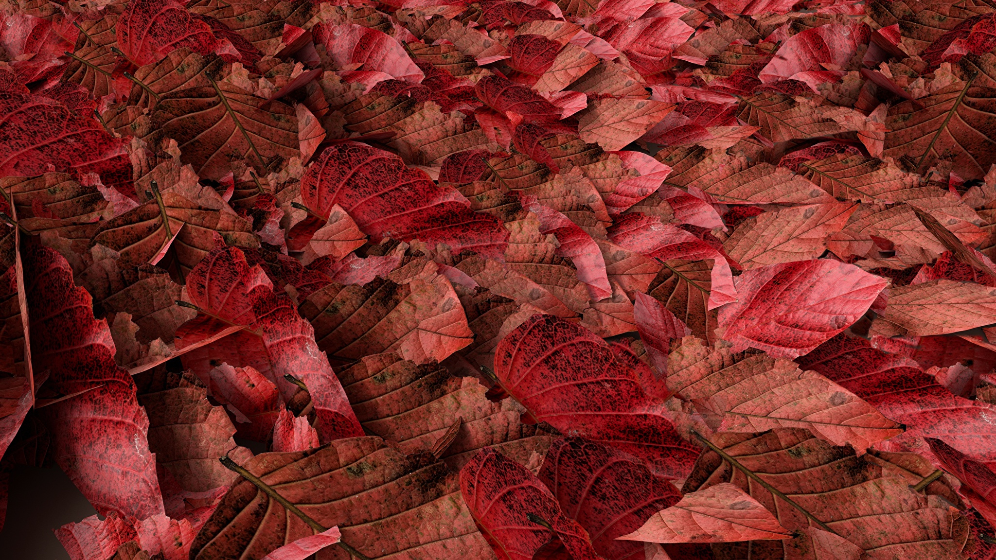 Опавшие красные листья