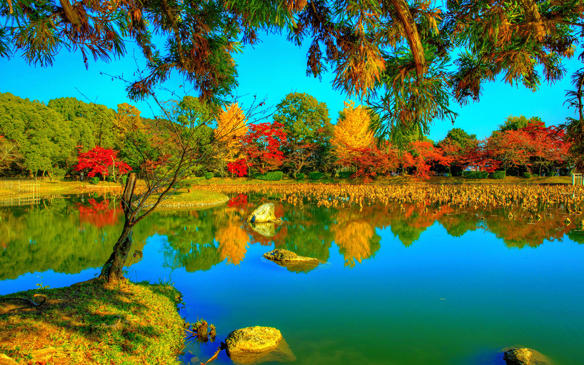 Обои для рабочего стола Киото Япония Daikaku-ji HDRI осенние Природа Парки Реки Ветки Деревья 1920x1200 HDR Осень парк река речка ветвь ветка на ветке дерево дерева деревьев