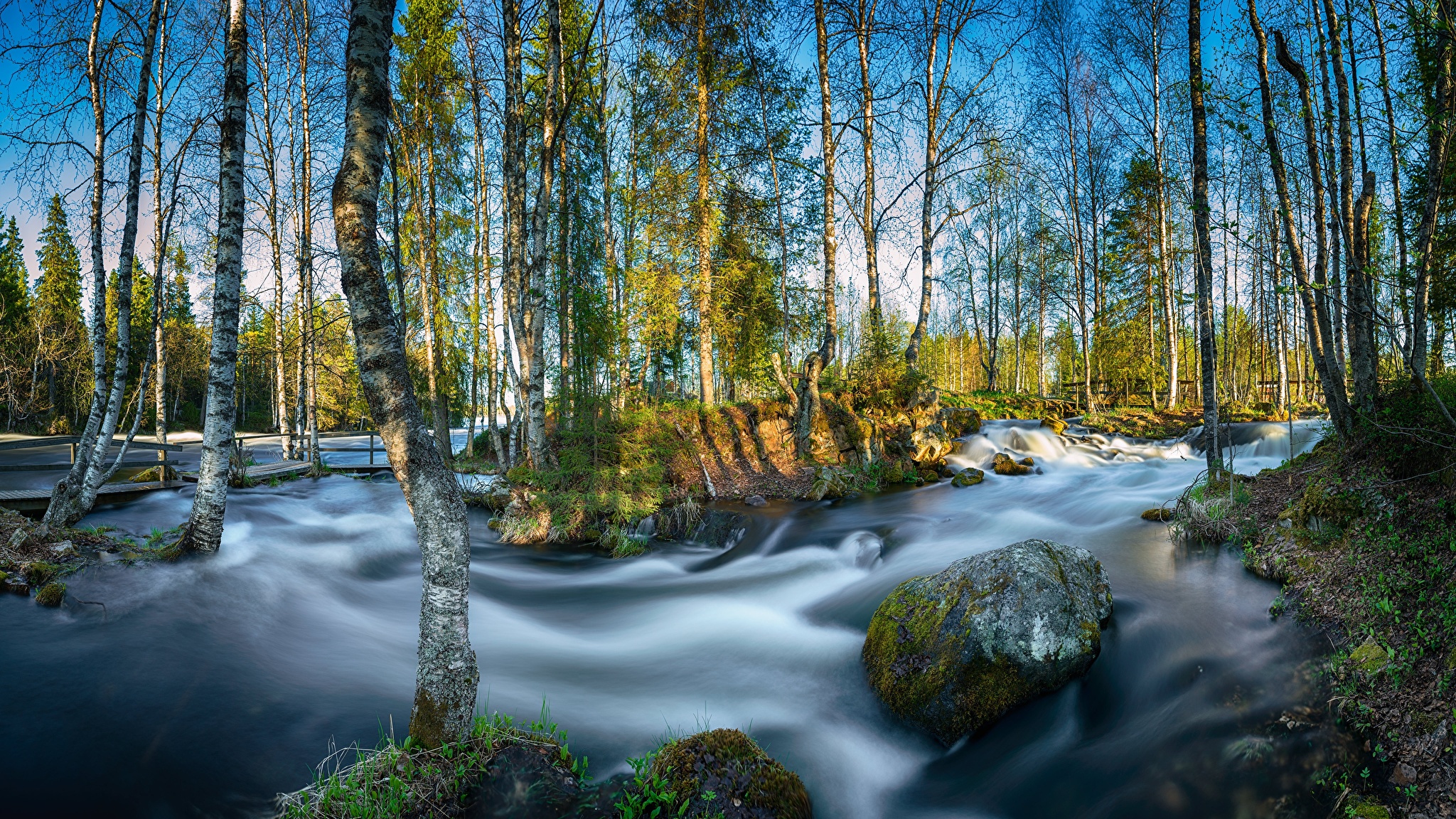 Лесной ручей Финляндия