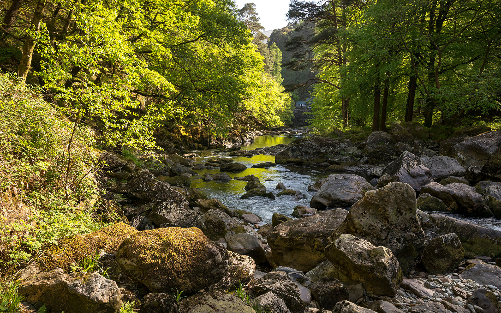 Фотография Уэльс Великобритания Snowdonia Ручей Природа Парки Камень 1920x1200 ручеек парк Камни