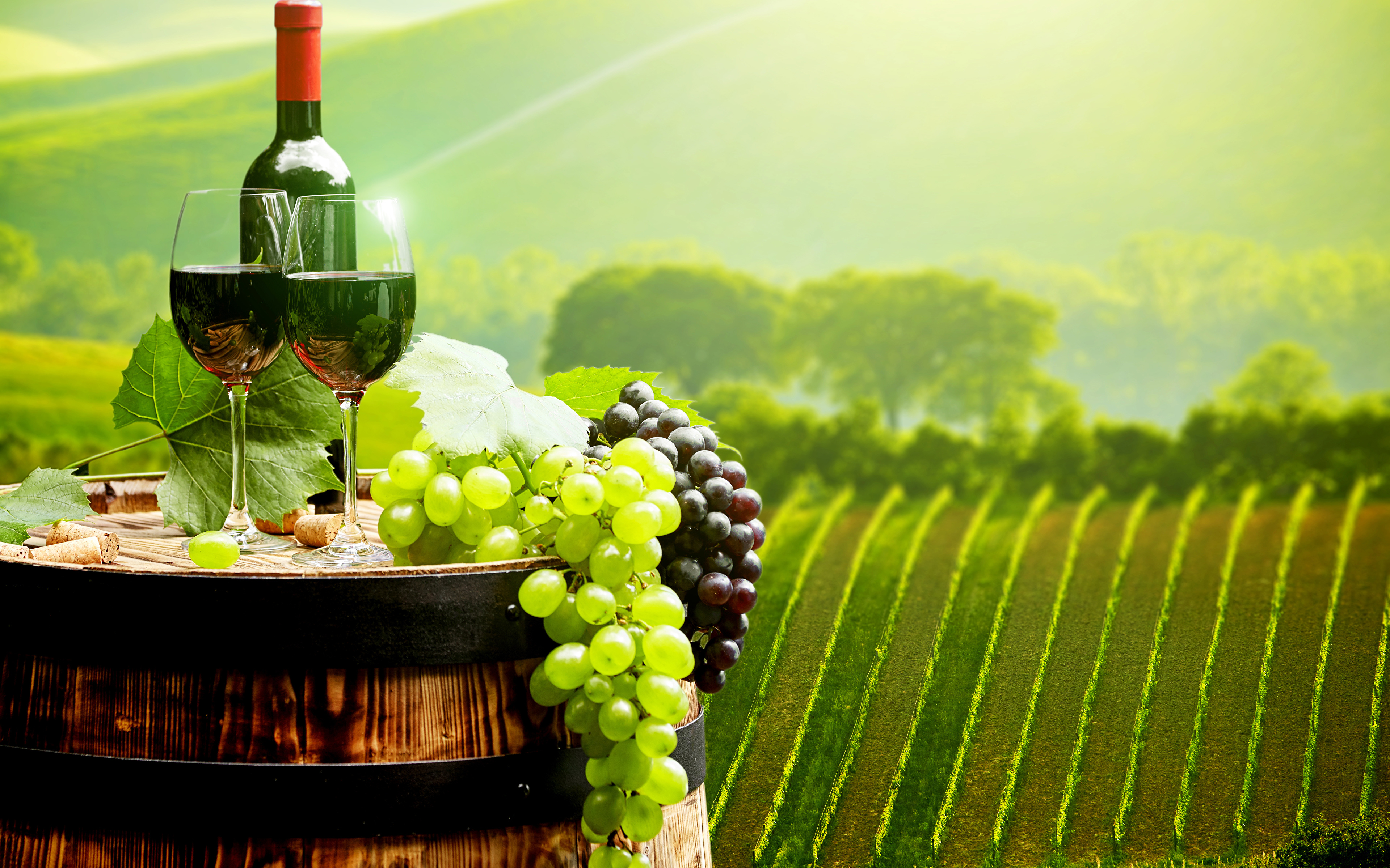 еда вино виноград природа солнце облака загрузить