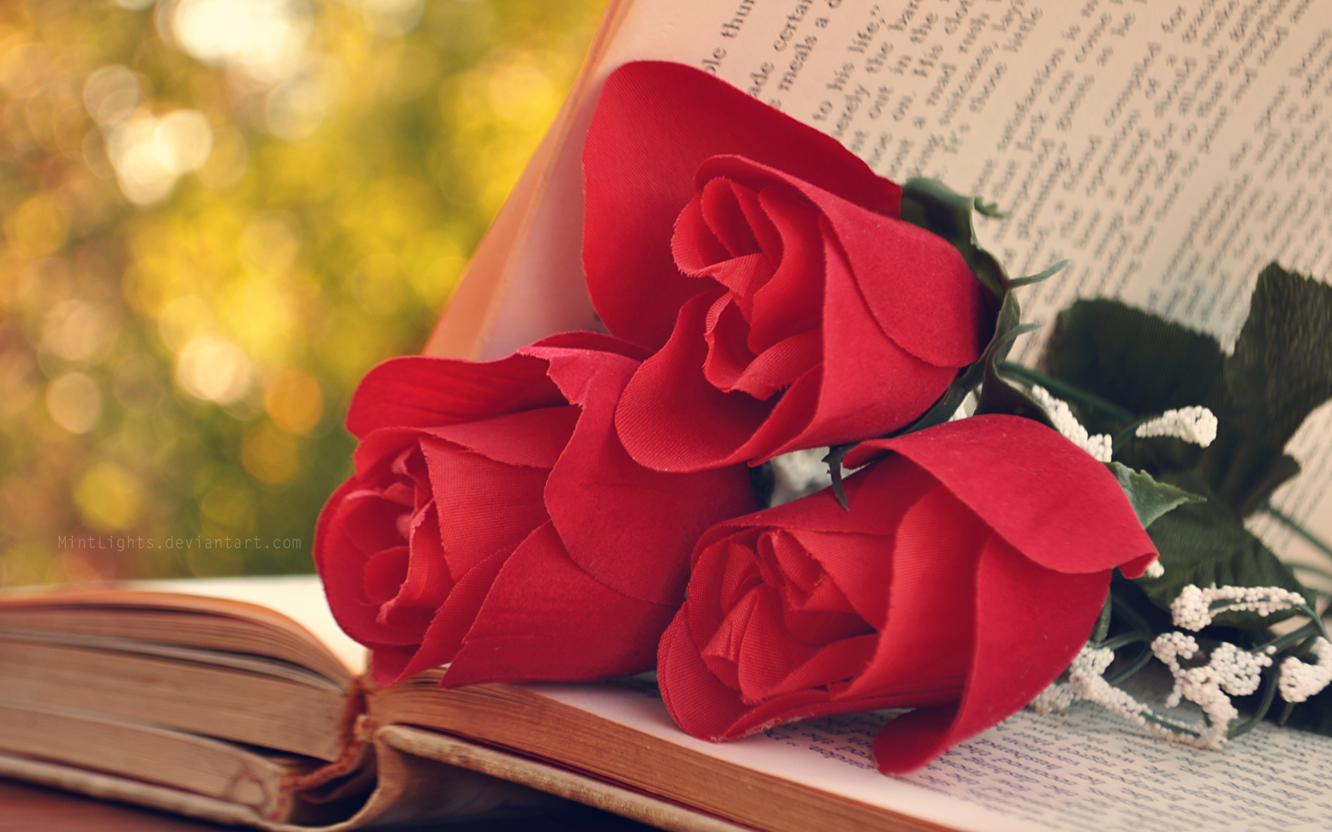 розы, книга, листья загрузить