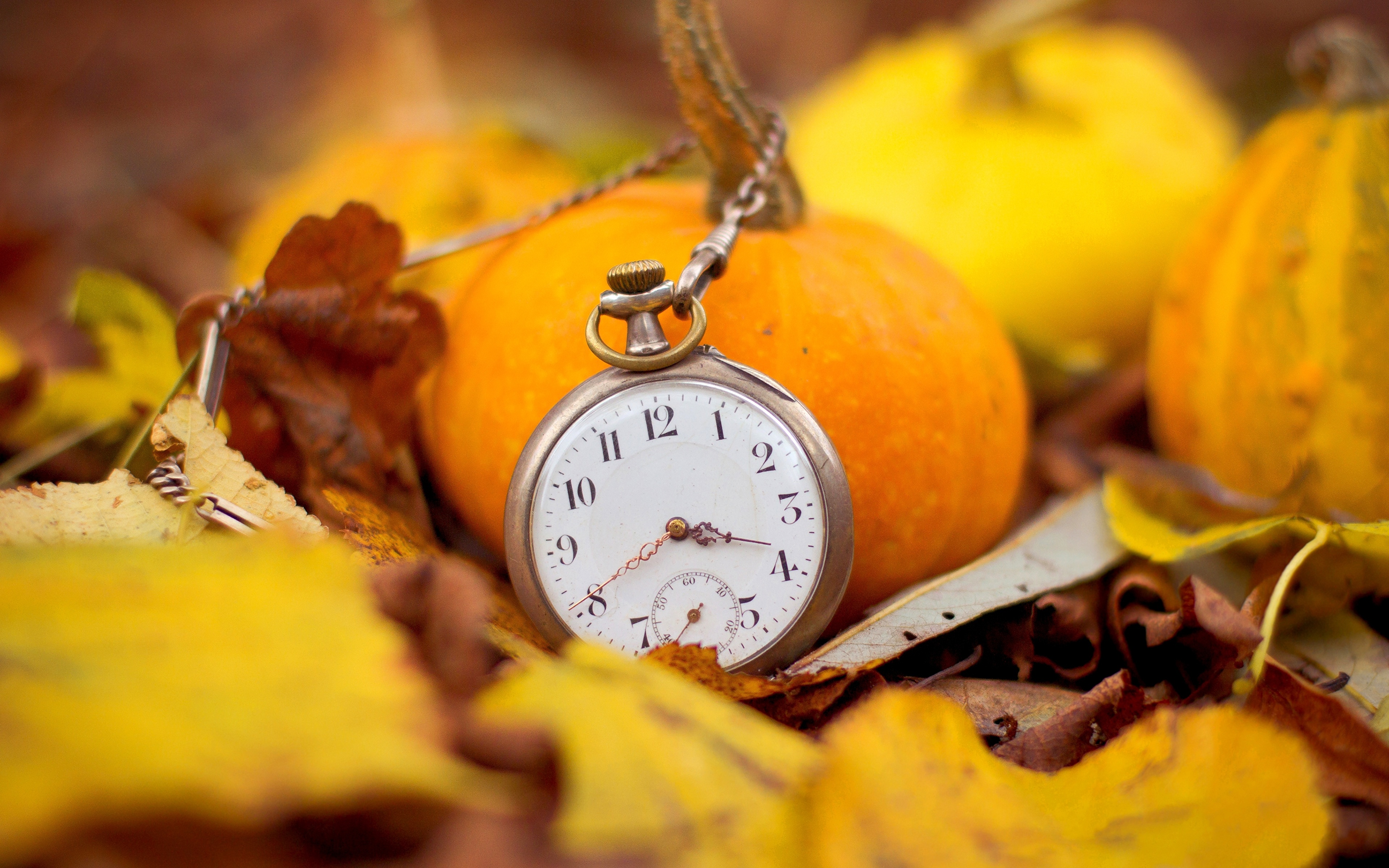 часы осень листья загрузить