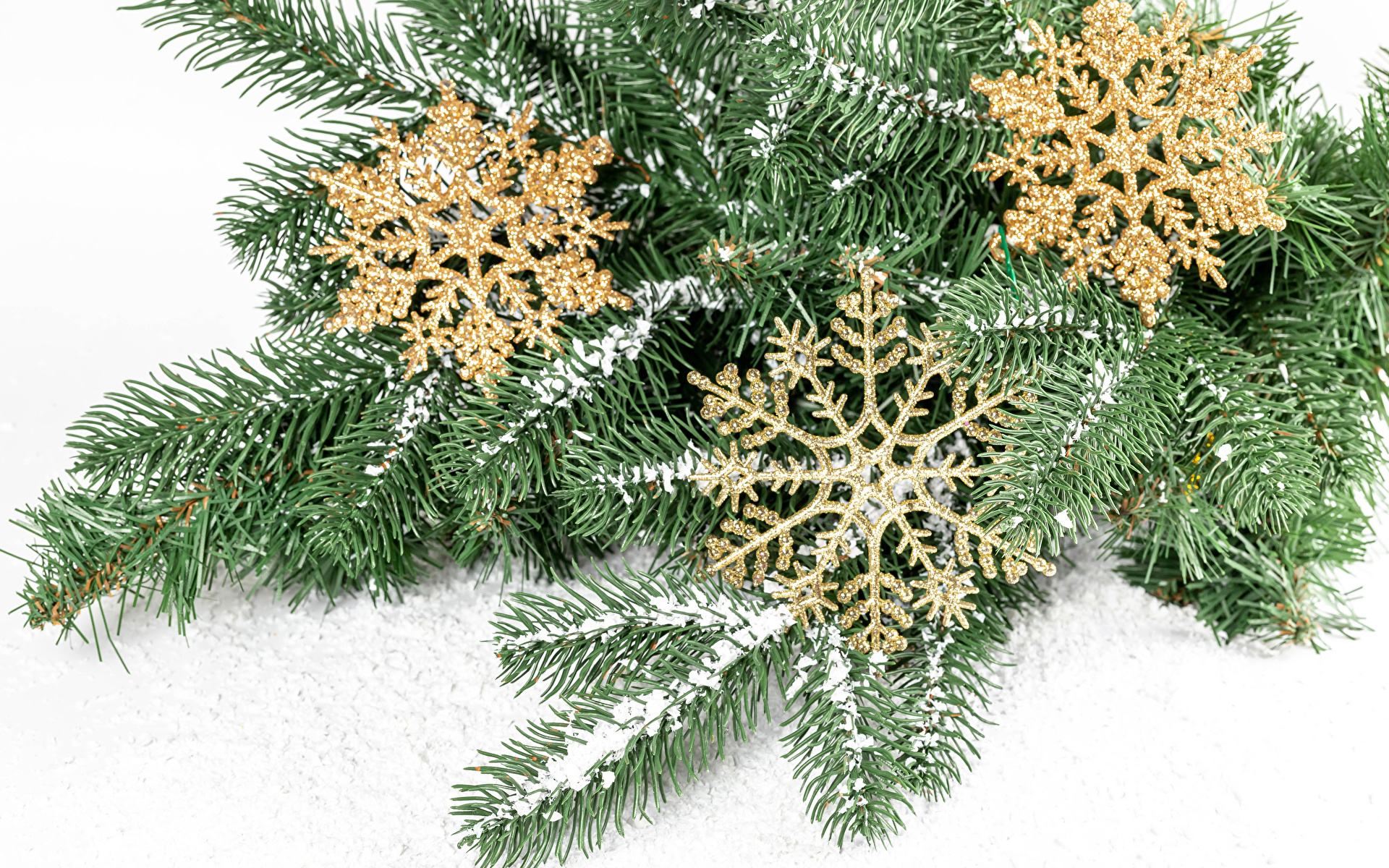 Фотографии Рождество снежинка снегу на ветке белом фоне 1920x1200 Новый год Снежинки Снег снега снеге ветвь ветка Ветки Белый фон белым фоном