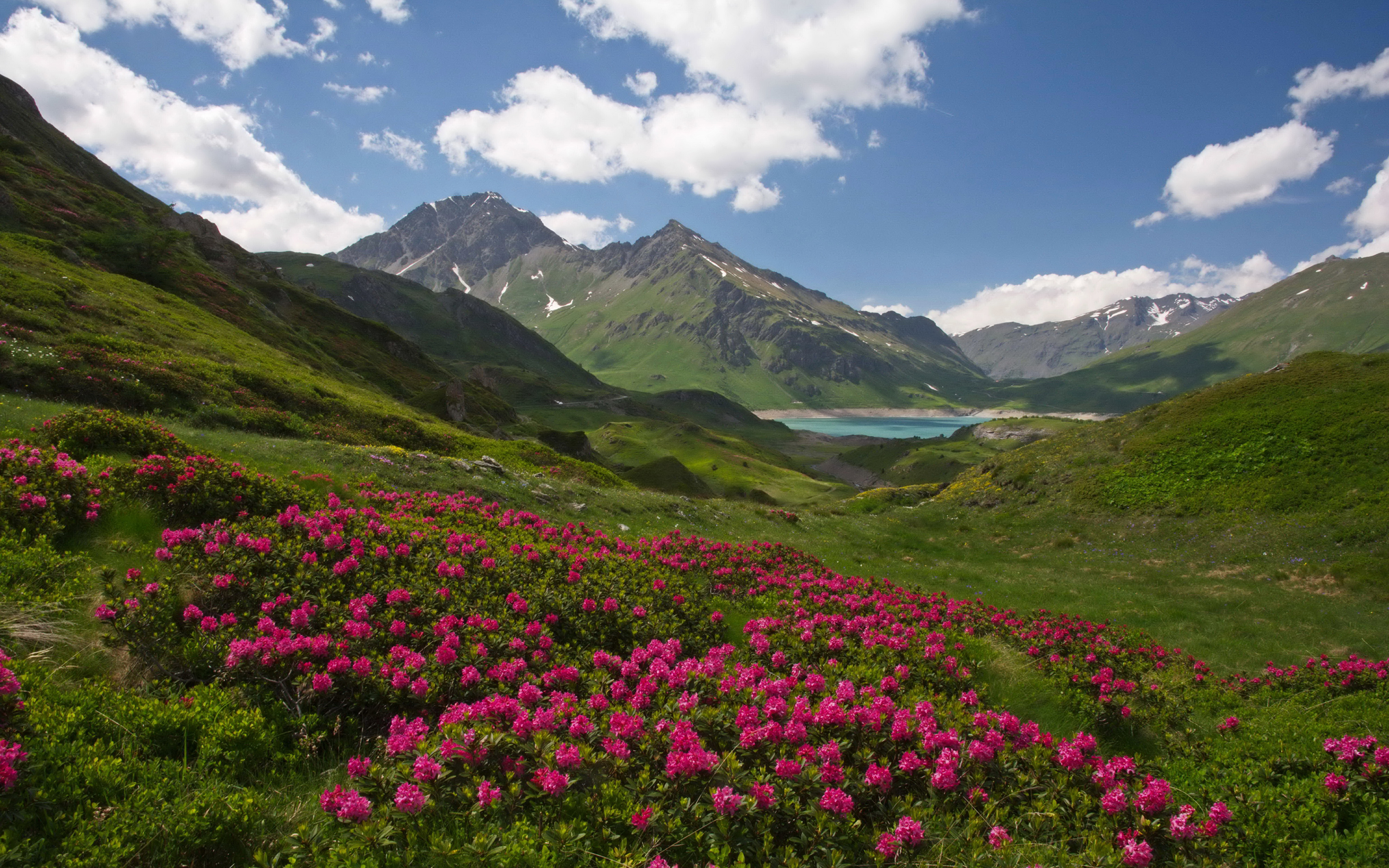 Альпийские Луга Франции