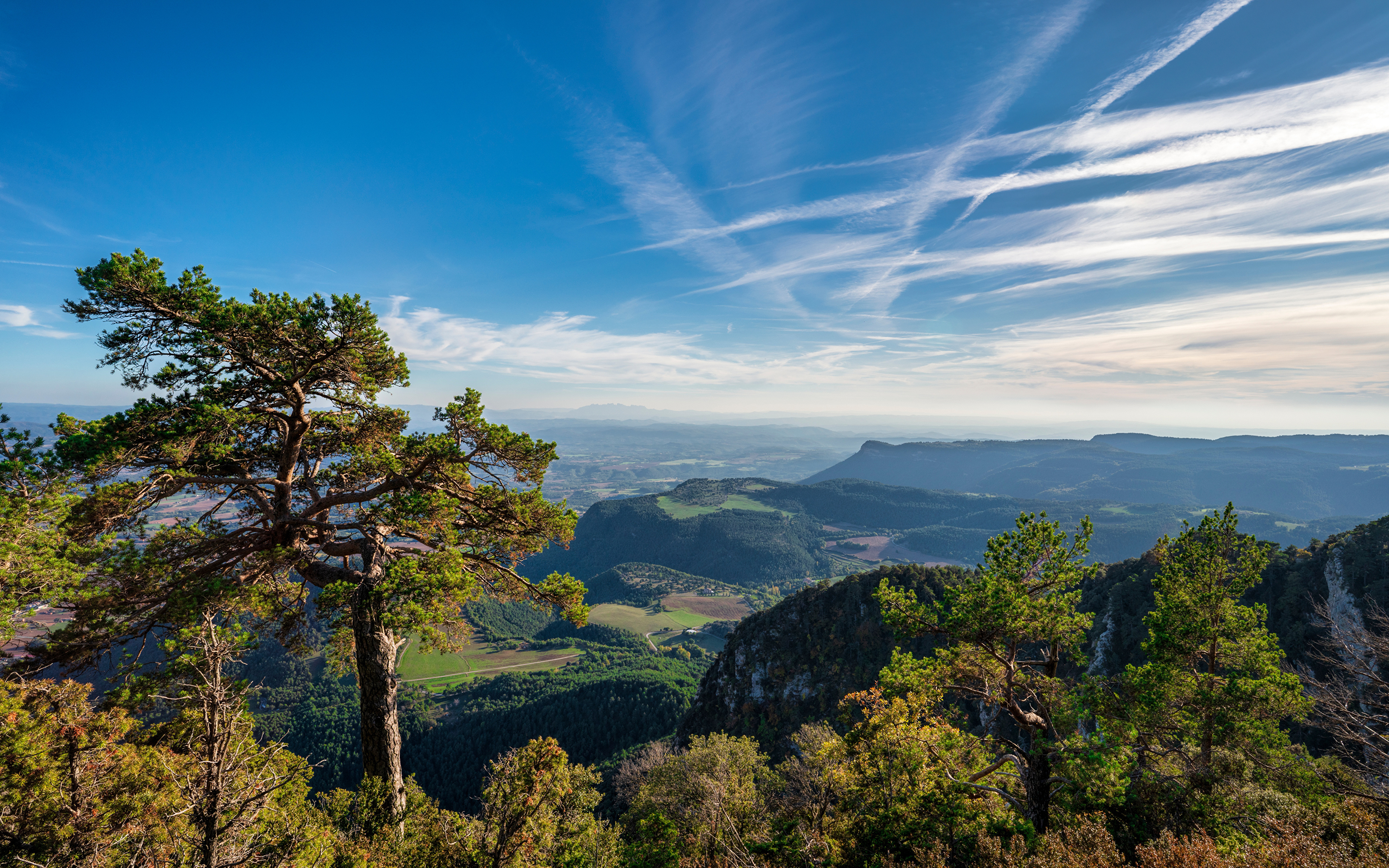 Фотография Испания Berga, Catalonia Горы Природа Небо Облака Деревья 3840x2400 гора дерево дерева облако облачно деревьев