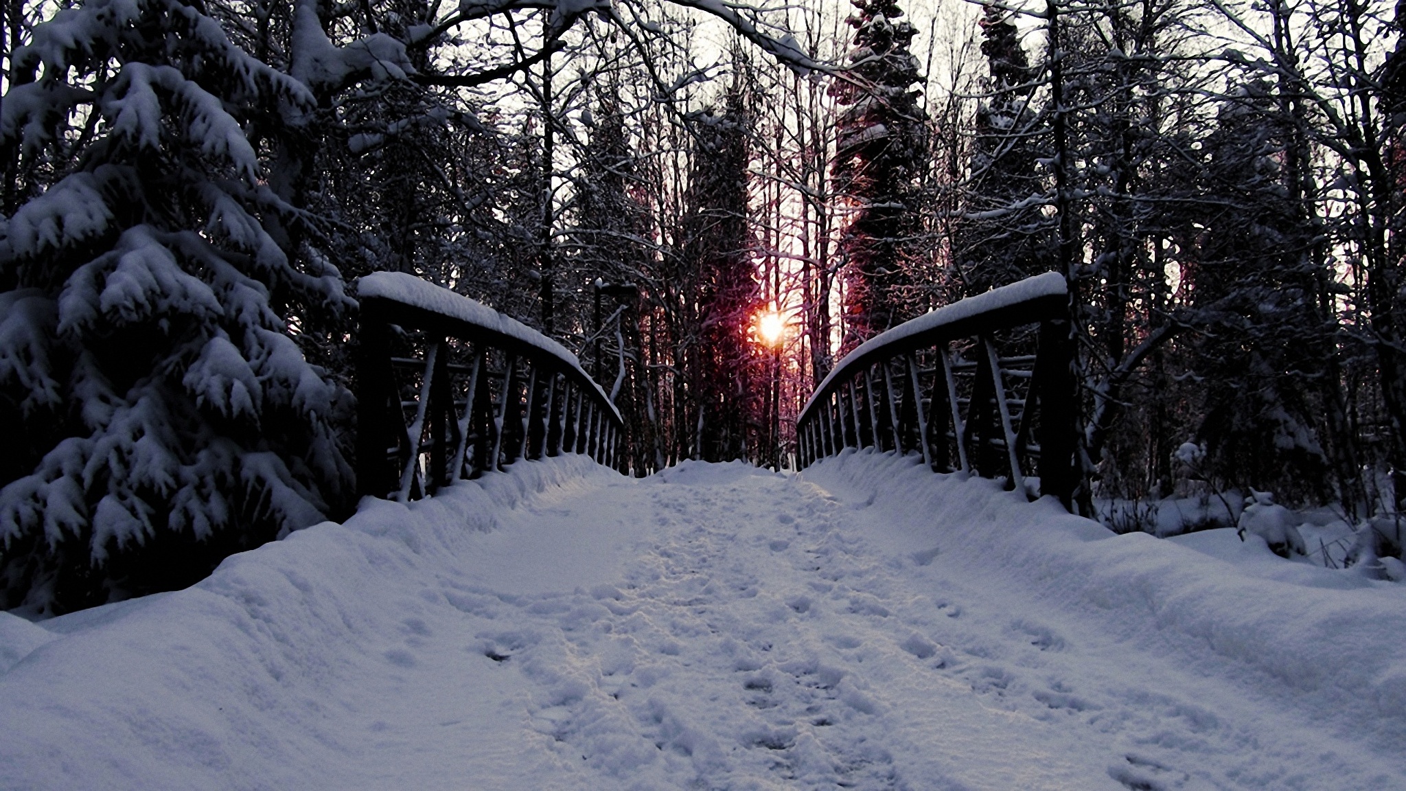 природа зима мост деревья бесплатно