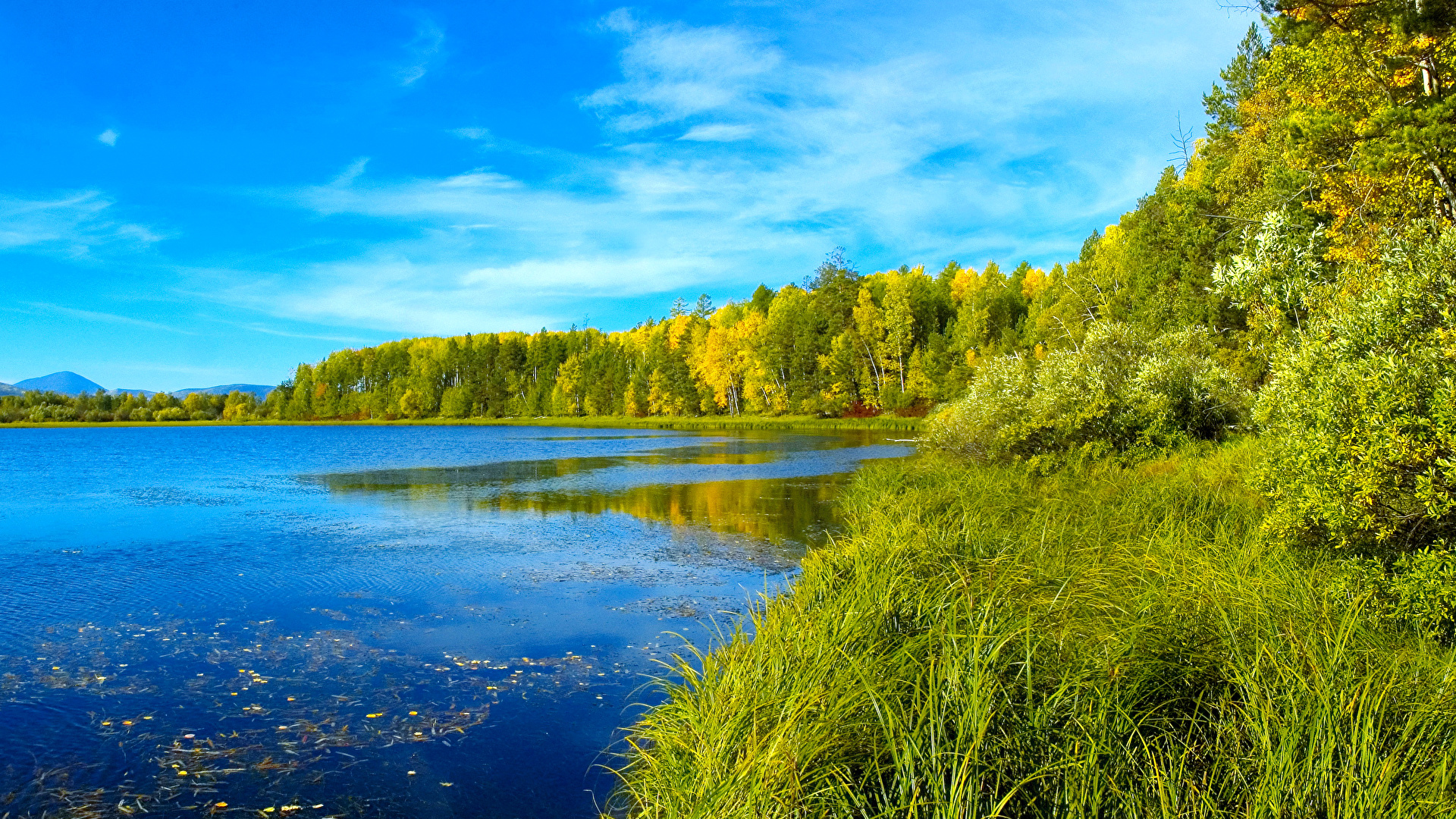 Kartinka Sibir Leto Priroda Les Ozero Pejzazh Trave 19x1080