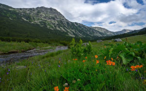 Фото Болгария Гора Река Траве Rila Природа