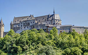 Картинка Замки Люксембург Дерево Vianden