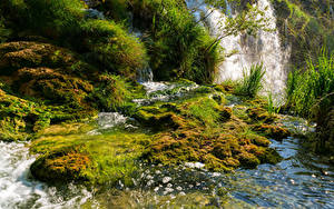 Фото Хорватия Парки Водопады Мха Plitvice Природа