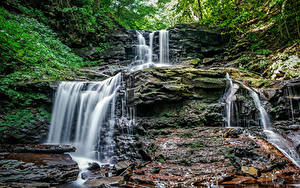 Фотографии Хорватия Водопады Скала Мха Waterfalls at Ricketts Glen Природа