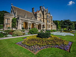 Обои для рабочего стола Англия Дома Особняк Дизайна Газоне Кусты Tyntesfield город