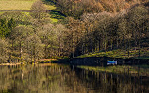 Картинка Англия Парк Озеро Деревьев High Peak Derbyshire Природа