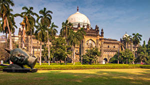 Фотографии Индия Скульптуры Дворца Музеи Пальма Газоне Prince of Wales Museum Mumbai город