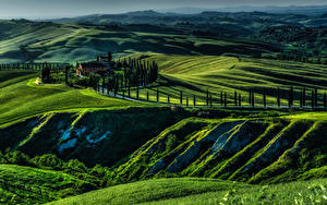 Фотографии Италия Луга Пейзаж Холмов Toscana