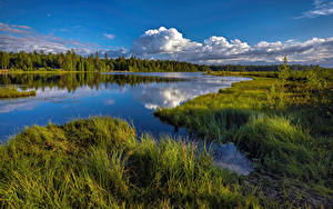 Фотографии Озеро Россия Траве Yugra, Tyumen Oblast Природа