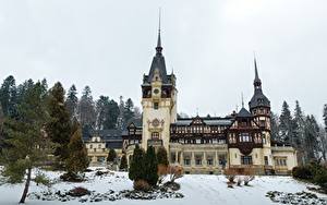 Фотография Румыния Замки Зима Снег Дерева Peles Castle Города