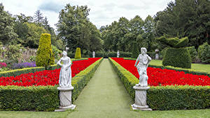 Обои Скульптура Парк Англия Кусты Дизайн Cliveden Garden