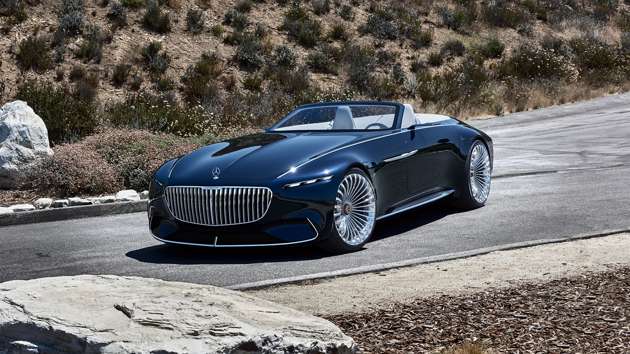 Mercedes-Maybach Vision 6